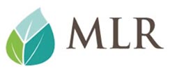 MLR